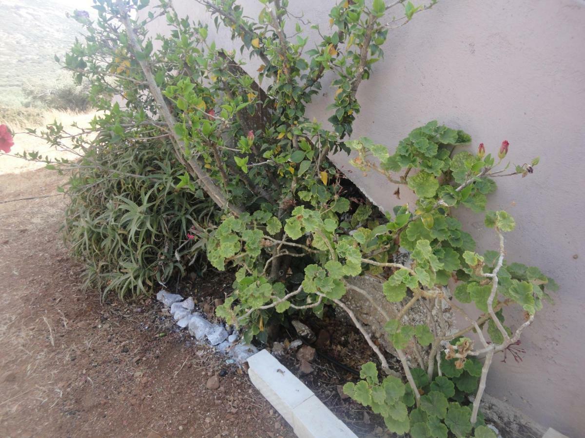 Papadiokampos Maissonete Roussa Limni المظهر الخارجي الصورة