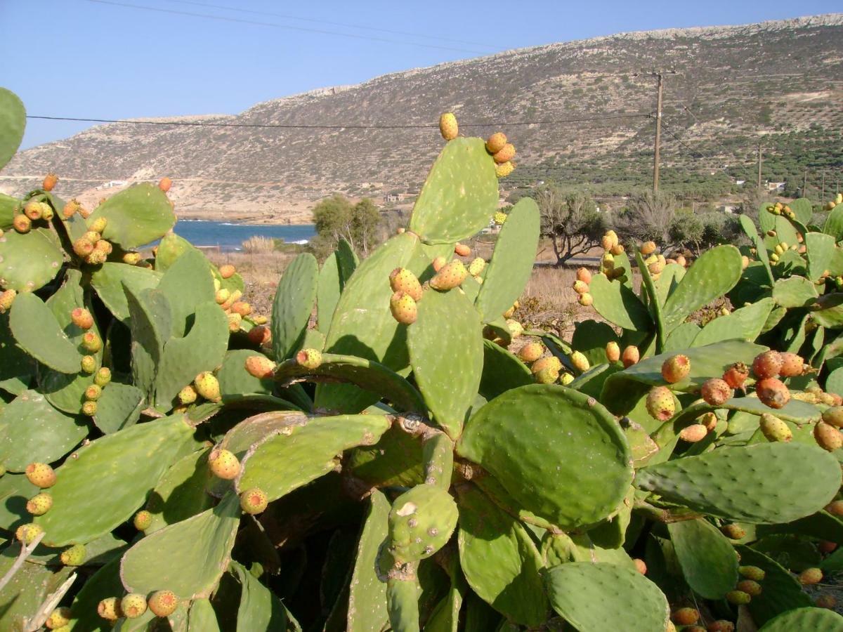 Papadiokampos Maissonete Roussa Limni المظهر الخارجي الصورة